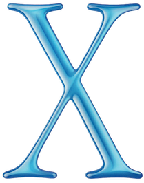 Mac OS X logo